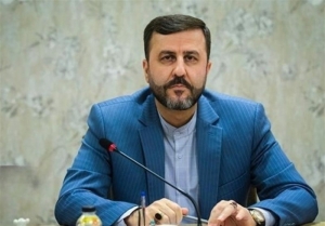 تشریح نتایج نشست سازمان همکاری اسلامی از زبان غریب‌آبادی