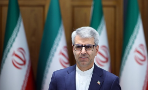 بقائی: صیانت از دستاوردهای هسته‌ای مسئولیت ملی است