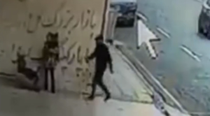دستگیری عامل گردنبندقاپی از یک مادر بچه به بغل+ فیلم