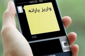 مسافرت خارجی، دلیل اصلی حذف یارانه ۴۳۰هزار نفر