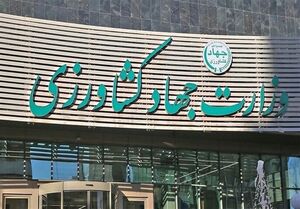 افزایش قیمت‌ سیب زمینی روانی است