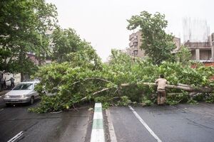 وزش باد شدید و رگبار باران در تهران
