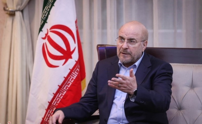 قالیباف: دستگاه‌های دولتی در کار گروه‌های مردمی دخالت نکنند