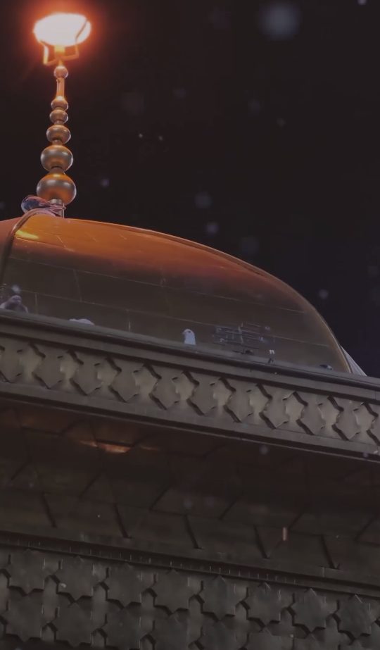 امام رضا (ع)