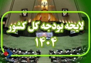 تشریح روند بررسی جزئیات لایحه بودجه ۱۴۰۴ در مجلس