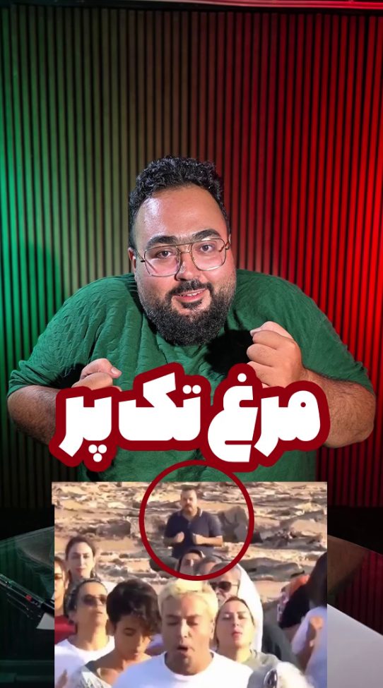 مرغ تک پر