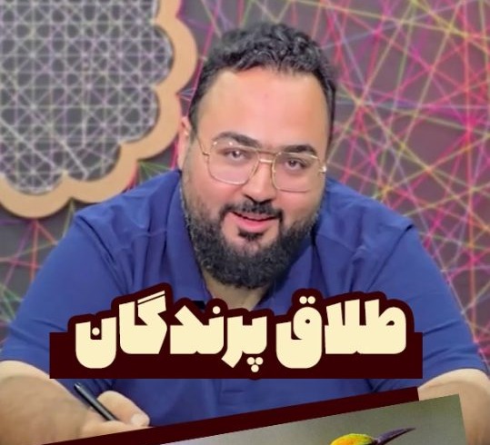 طلاق پرندگان