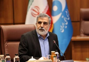 کمالوندی: ساخت نیروگاه‌های جدید در جنوب کشور در دستور کار است
