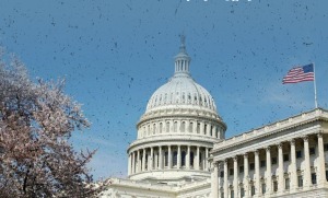 واکنش کاخ سفید به ناکامی ترامپ در نوبل: نوبل صلح سیاسی شد