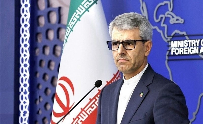 ایران حمله به کاروان «صمود» و دستگیری فعالان حامی فلسطین را محکوم کرد