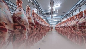 رسوایی یک کشور عربی در صادرات گوشت به اسرائیل