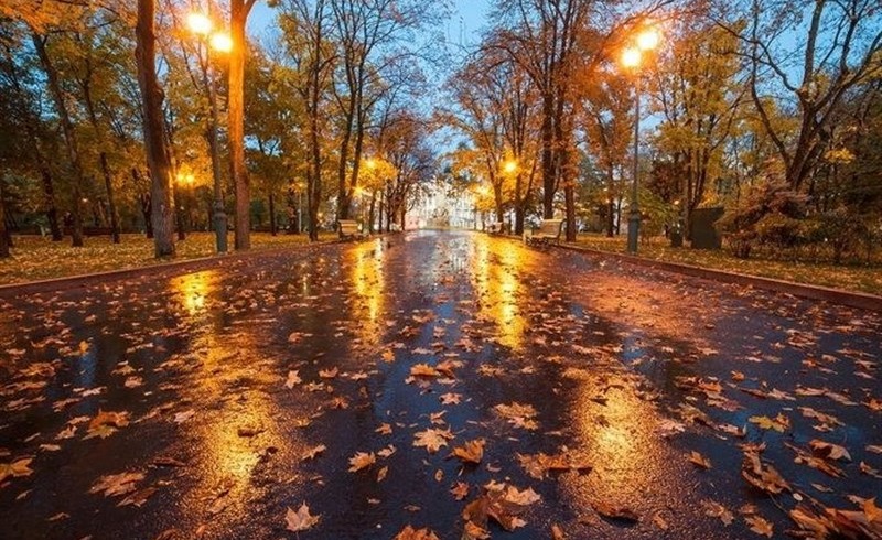 هواشناسی ایران۱۴۰۴/۷/۱۸؛ پیش بینی بارندگی در استان های شمالی