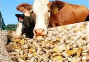 هشدار سازمان بازرسی به وزارت جهاد کشاورزی درباره نهادههای دامی