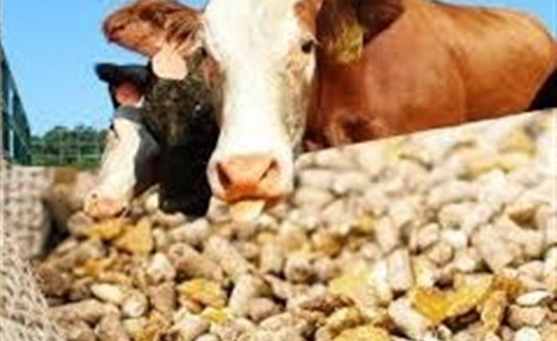 هشدار سازمان بازرسی به وزارت جهاد کشاورزی درباره نهادههای دامی