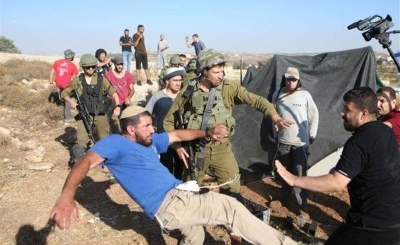 افزایش بیسابقه حملات شهرکنشینان اسرائیلی در فصل برداشت زیتون به کرانه باختری