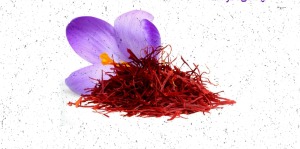 طلای سرخ در چنگال مافیا