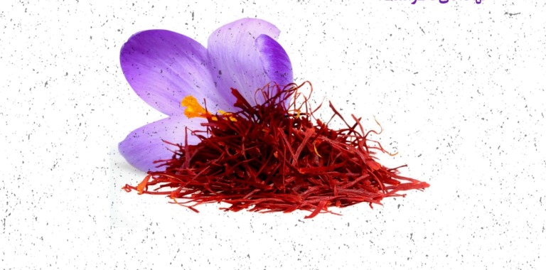 طلای سرخ در چنگال مافیا