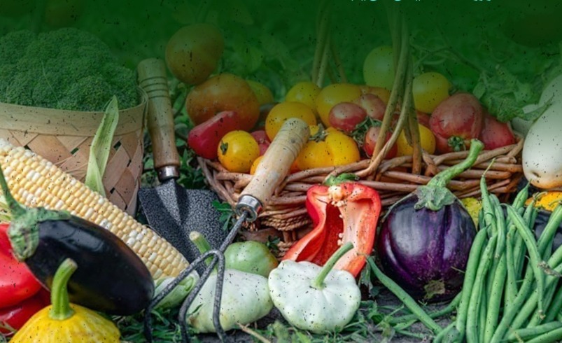 صادرات کشاورزی ۳۵ درصد رشد کرد