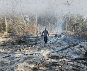 کنترل ۸۰ درصدی آتش سوزی جنگل های الیت