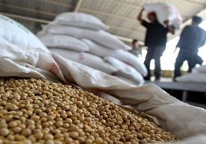 کاربرد فناوری هسته‌ای در جلوگیری از فساد سویا در انبار