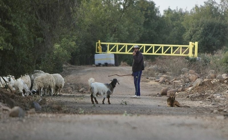 معیشت ساکنان قنیطره در گروگان اسرائیل/ خشم و فریاد سوری‌ها از انفعال جولانی