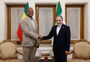 دیدار رئیس مجلس اتیوپی با عراقچی