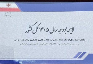 بررسی آثار تورمی لایحه بودجه ۱۴۰۵/جزئیات افزایش نرخ ارز و گرانی‌ها