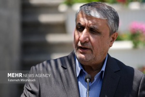 اسلامی: گروسی در زمین دشمن ایفای نقش می‌کند