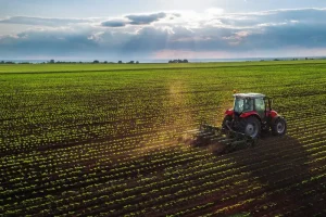 دور باطل زراعت و ارز؛ شکاف ۲۵ درصد اشتغال و ۳ درصد سرمایه‌گذاری