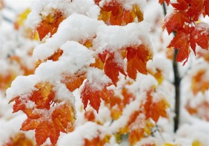 هواشناسی ایران ۱۴۰۴/۹/۱۱؛ بارش باران و برف در ۱۹ استان طی امروز