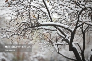 ورود سامانه بارشی به کشور؛ بارش برف و کولاک در راه است