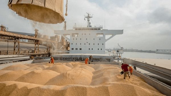 وزیر کشاورزی: حمل نهاده‌های دامی سرعت می‌گیرد