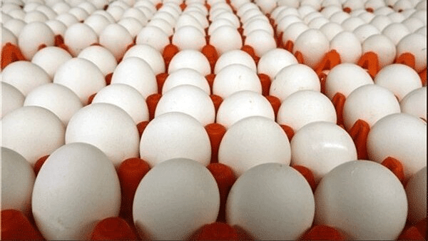 آخرین وضعیت بازار تخم مرغ +قیمت