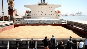 پهلوگیری کشتی حامل ۵۶ هزار تن گندم در بندر امام‌خمینی