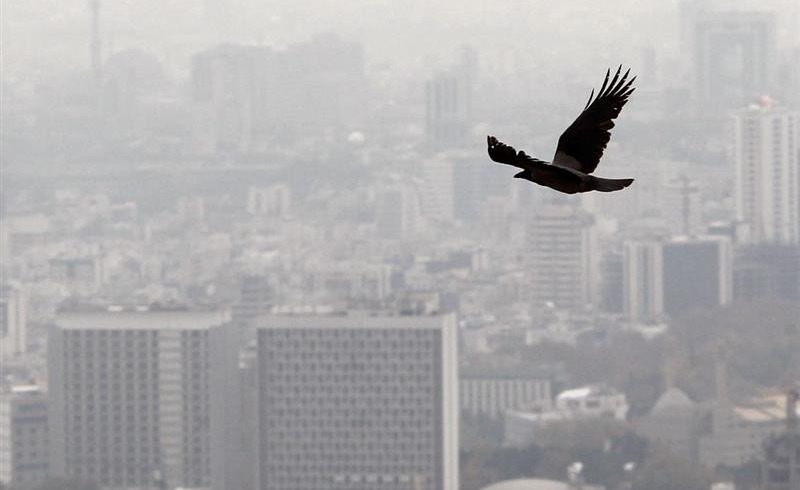 مسکن؛‌ از جهش روی کاغذ تا رکود در ساخت و سازها