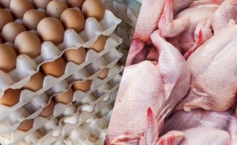 مصرف مرغ ۲۰ درصد کم شد