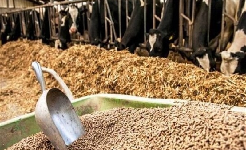 اعلام نرخ ارشادی نهاده‌های دامی بالاتر از بازار