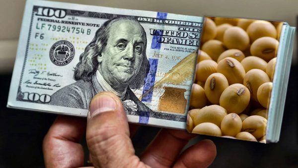 ضربه آمریکایی به دامداران ایرانی