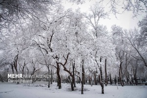 ورود سامانه بارشی جدید از امشب؛ کاهش ۷ درجه‌ای دما در پایتخت