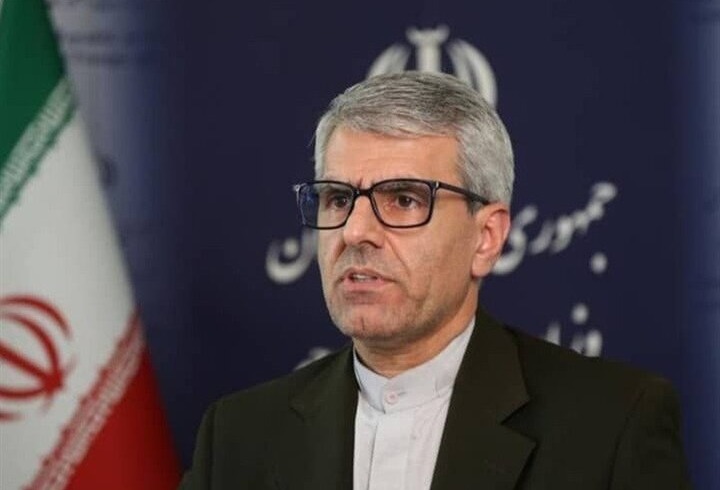بقایی: پلیس دیپلماتیک را هدف قرار دادند تا سفارتخانه‌ها بی‌دفاع بمانند