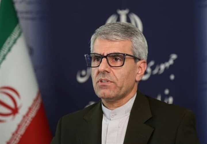 بقایی: پلیس دیپلماتیک را هدف قرار دادند تا سفارتخانه‌ها بی‌دفاع بمانند