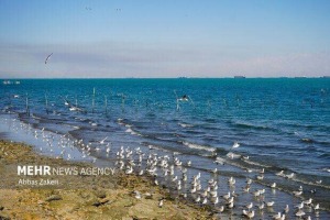 هرمز و سیراف سنگربانان ایران در خلیج فارس