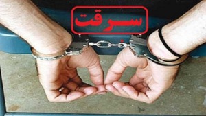 انهدام باند سارقان حرفه‌ای منازل در پایتخت
