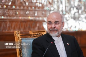 ارتش، نماد اقتدار، امنیت و مرزبانی از ایران عزیز است