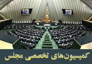 جزئیات انتخابات الکترونیکی کمیسیون‌ها؛ توضیحات عضو هیئت رئیسه