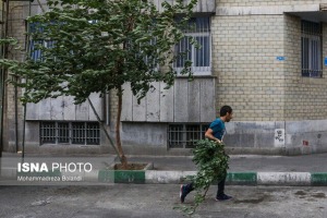 هشدار وزش باد و گردوخاک در ۱۸ استان