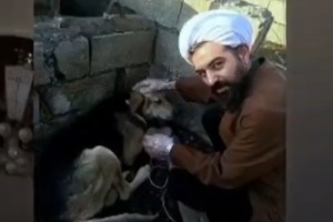 ترکیب جنس خوب و هوش مصنوعی …