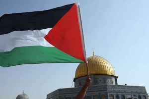 اهتزاز پرچم فلسطین به دست پیرزن هنگ‌کنگی