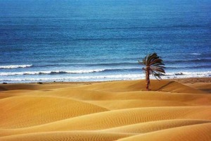 ساحل درک، تلاقی کویر و دریا