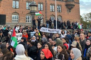 عقب‌نشینی یک زن اسرائیلی از موضع خود بر اثر تجمع حامیان فلسطین در دانمارک